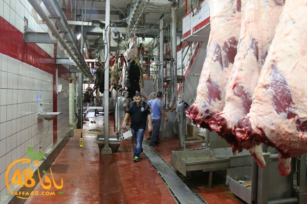 Jam3iya ada7ya (9).jpg